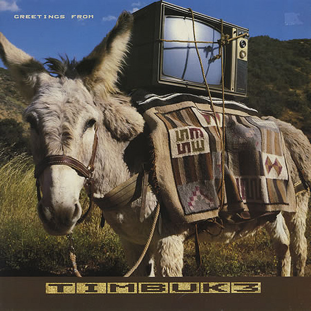 The Future's So Bright, I Gotta Wear Shades Album Art