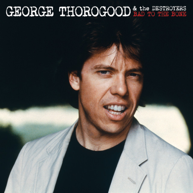 Bad to the Bone Album Art